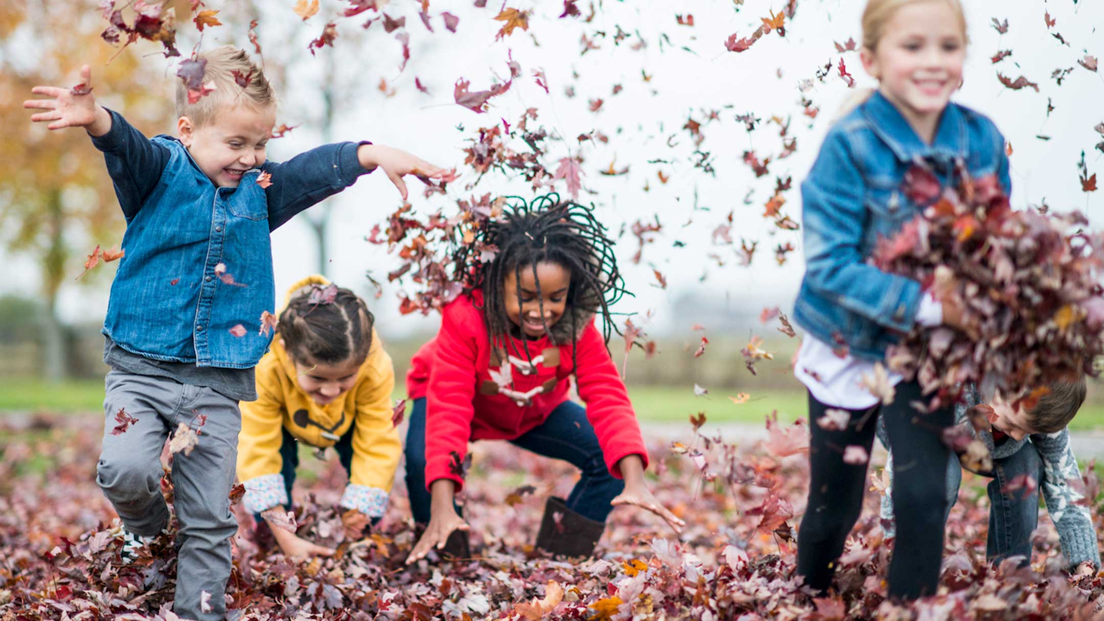 Es raschlet i de Blätter